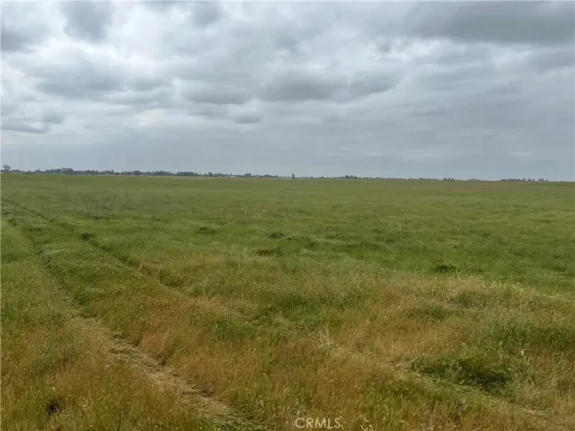 a view of yard with ocean