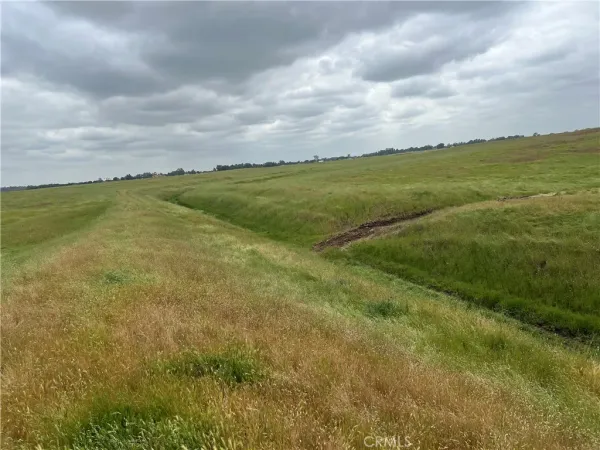 a view of a lake from a yard