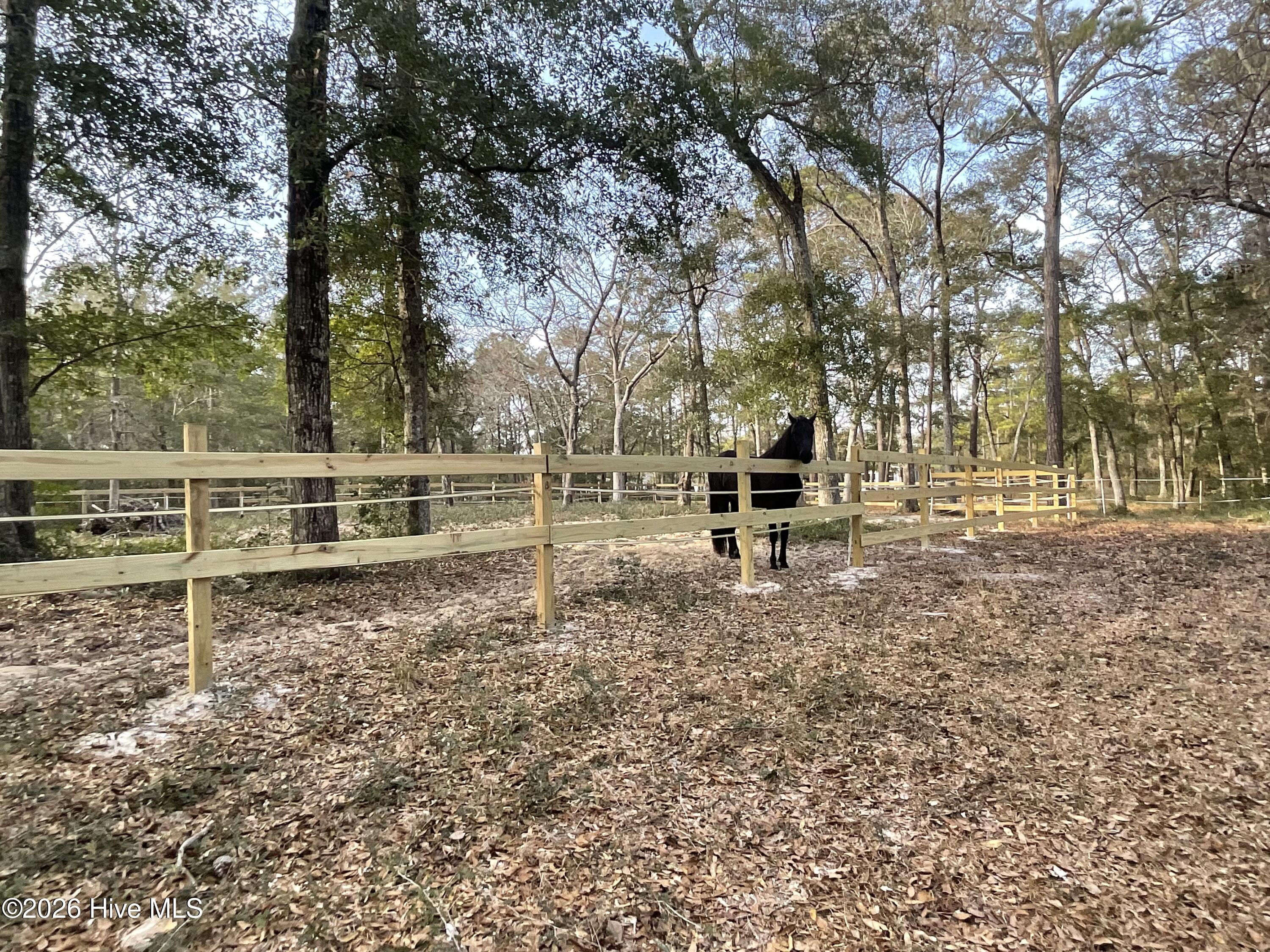 2659 Seashore Road Southwest Supply, NC 28462 - Photo 61 of 75 Chickens ARE ALLOWED NO HOA:)