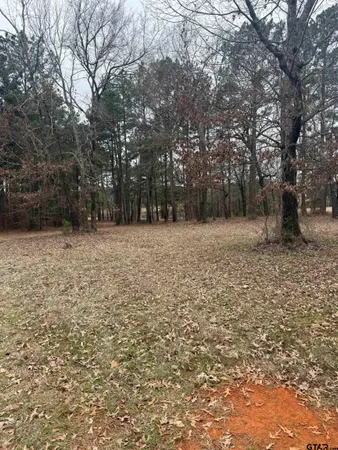 a backyard of a house with large trees