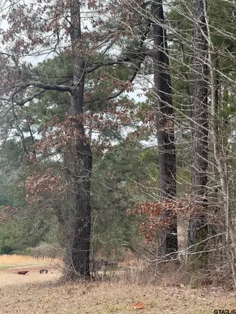 a view of an ocean beach