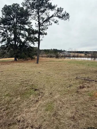 a view of a yard with trees