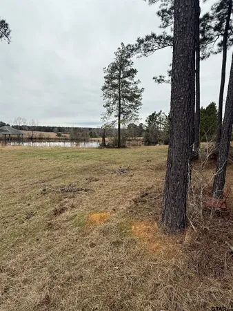 a view of a swimming pool with an ocean view