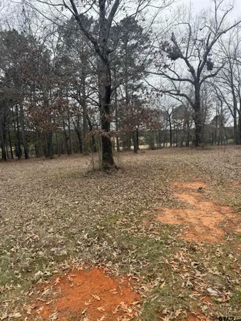 a backyard of a house with large trees