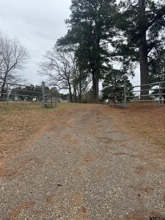 a view of outdoor space and a yard
