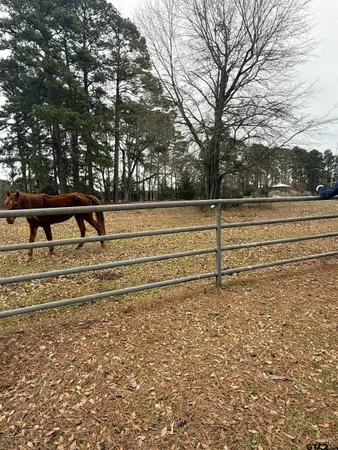 a view of a yard with wooden fence