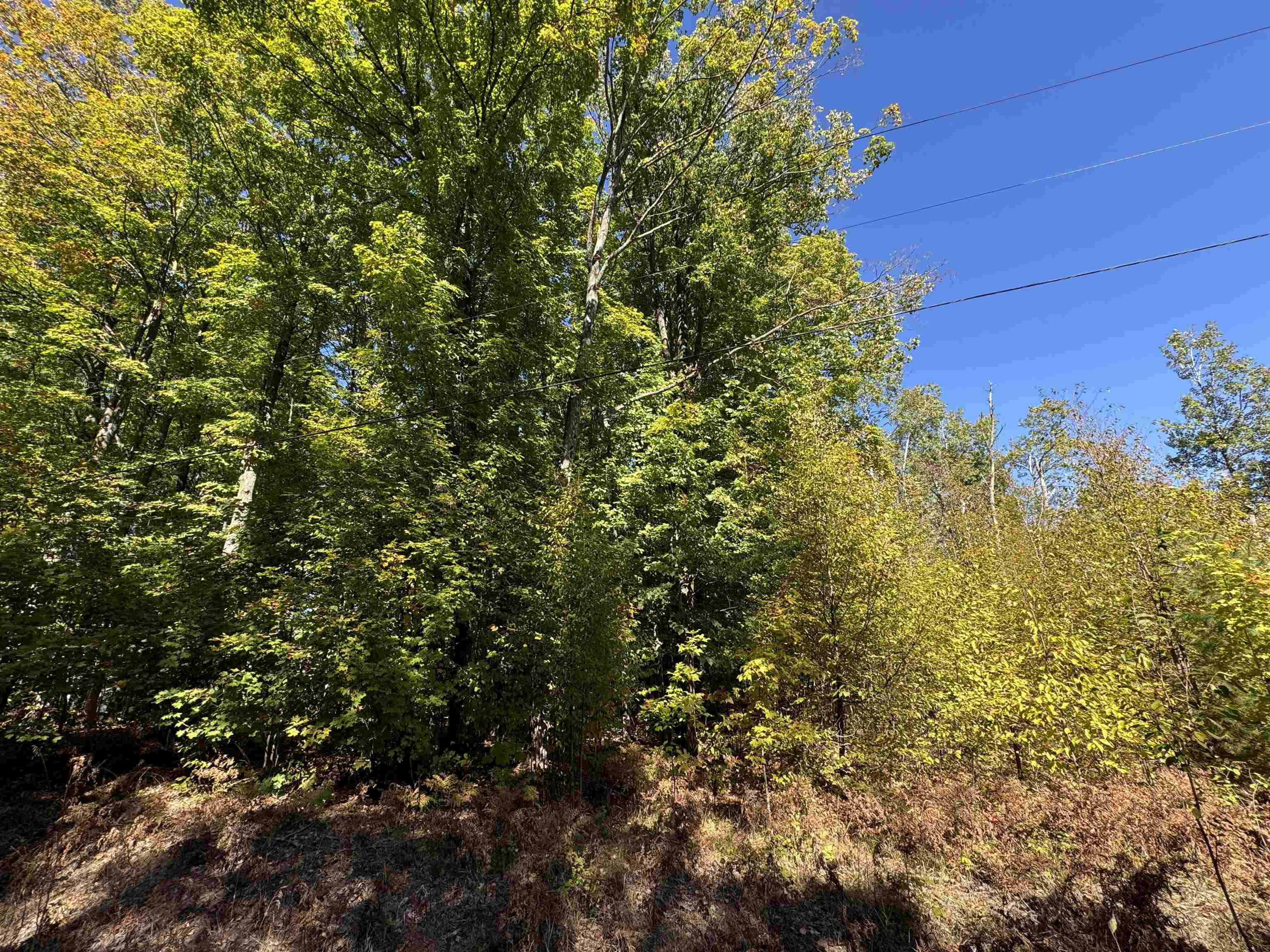 Lot 279 West 6th Road Buckley, MI 49620 - Photo 6 of 19 Gallery Image 6