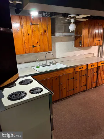 a view of a backyard with plants