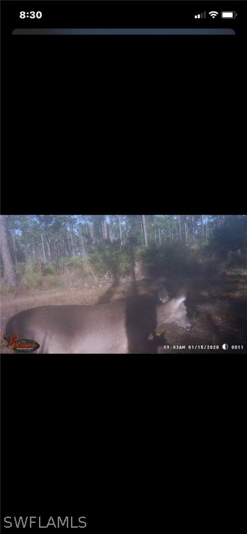 15301 Rasmussen Road Punta Gorda, FL 33982 - Photo 11 of 11 Gallery Image 11