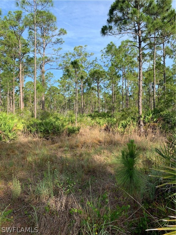 15301 Rasmussen Road Punta Gorda, FL 33982 - Photo 7 of 11 Gallery Image 7