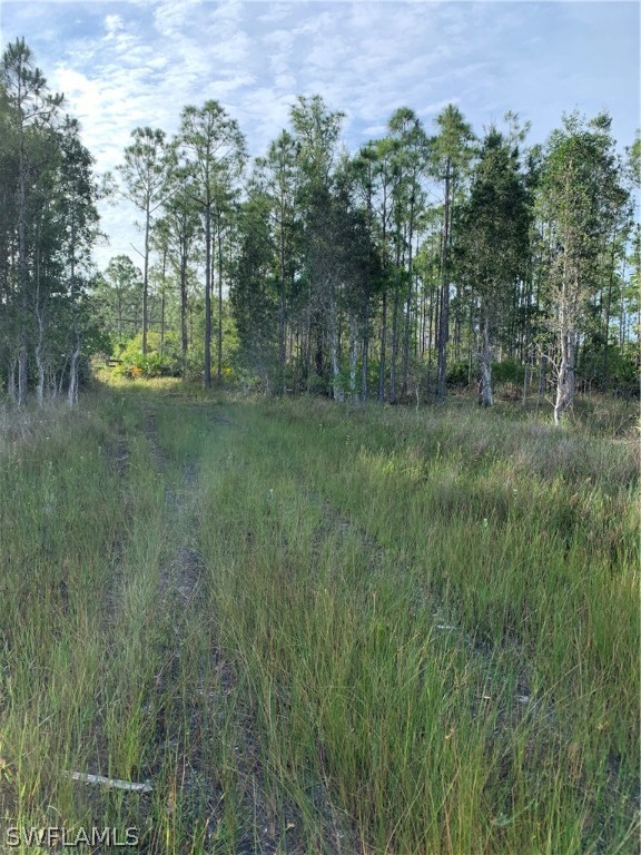 15301 Rasmussen Road Punta Gorda, FL 33982 - Photo 8 of 11 Gallery Image 8