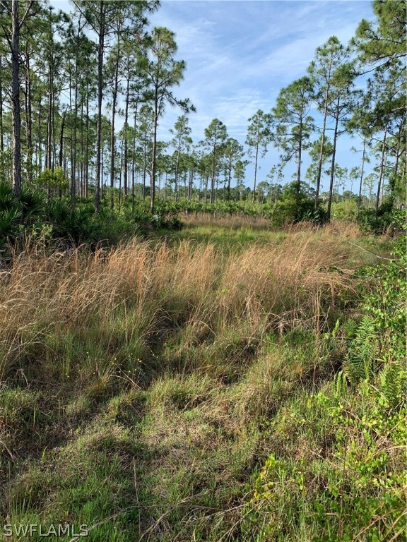15301 Rasmussen Road Punta Gorda, FL 33982 - Photo 9 of 11 Gallery Image 9