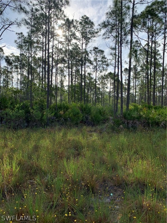 15301 Rasmussen Road Punta Gorda, FL 33982 - Photo 10 of 11 Gallery Image 10
