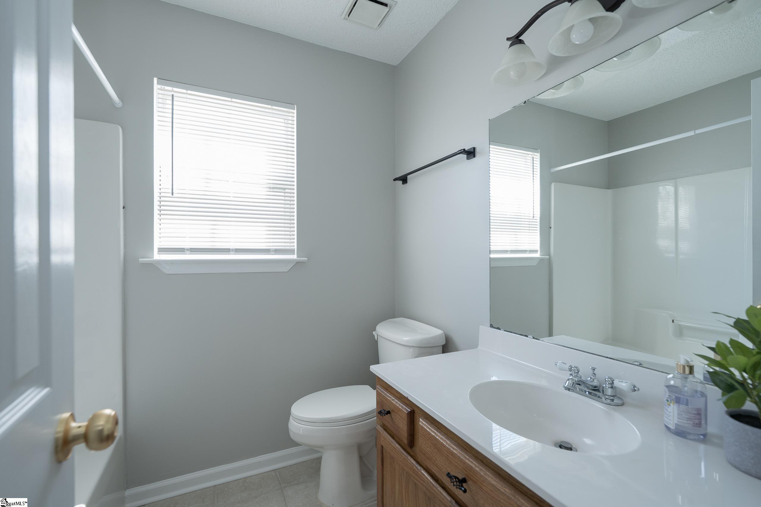 3 Riverside Chase Circle Greer, SC 29650 - Photo 24 of 36