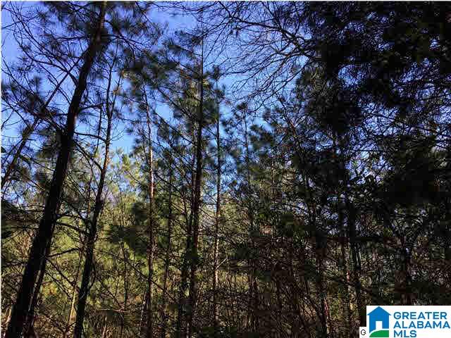 79 Highway 79, Unit 3 9 Cleveland, AL 35049 - Photo 13 of 21