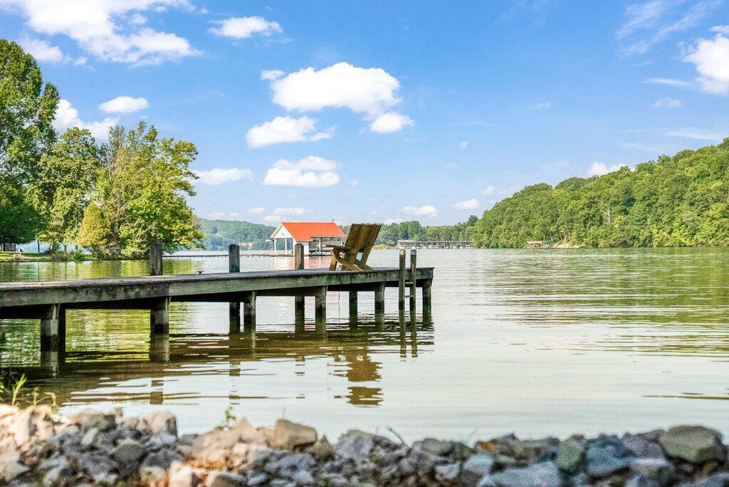 647 Omega Drive Spring City, TN 37381 - Photo 28 of 43