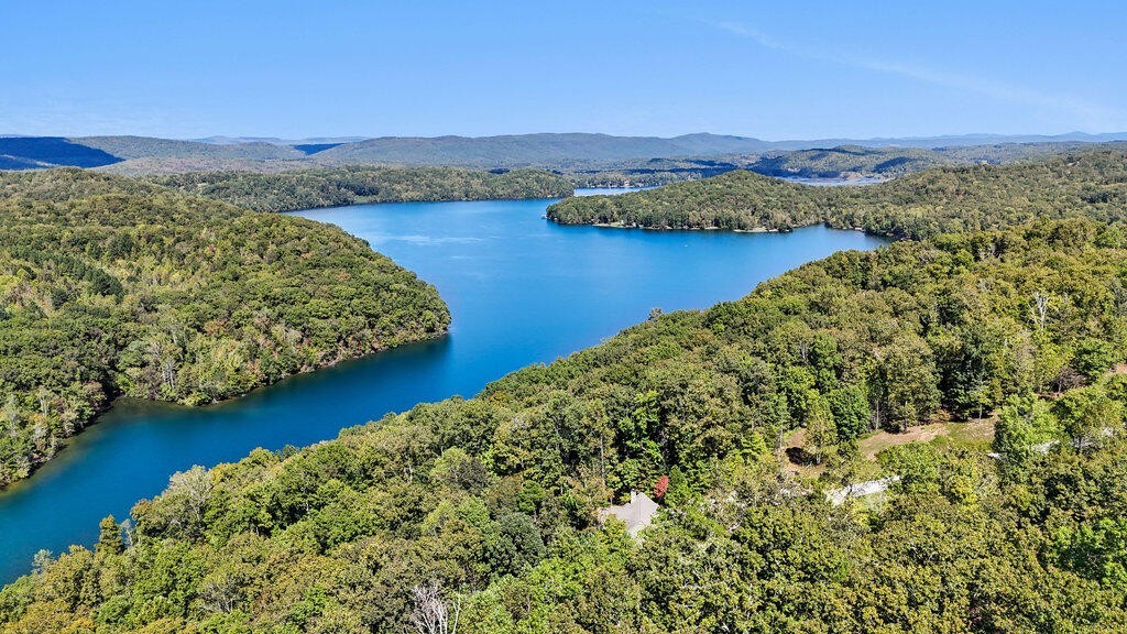 647 Omega Drive Spring City, TN 37381 - Photo 40 of 43 a view of a lake with a mountain in the background