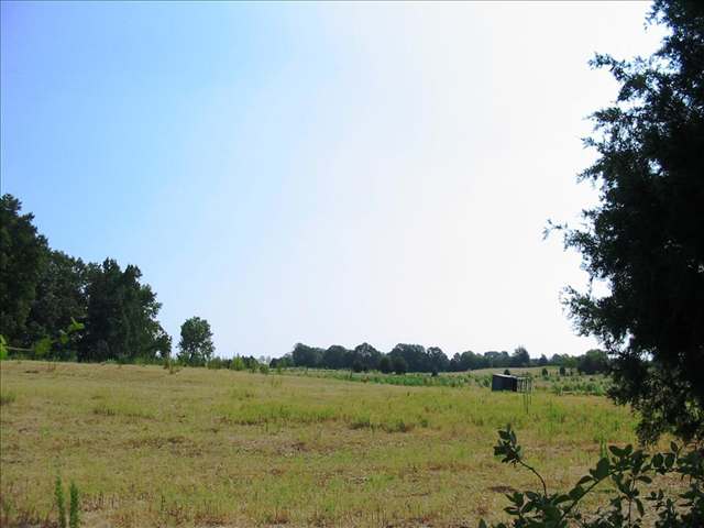 3 Warren Watt Road Iva, SC 29655 - Photo 1 of 6