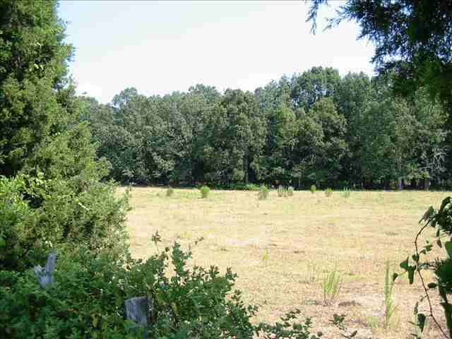 3 Warren Watt Road Iva, SC 29655 - Photo 3 of 6