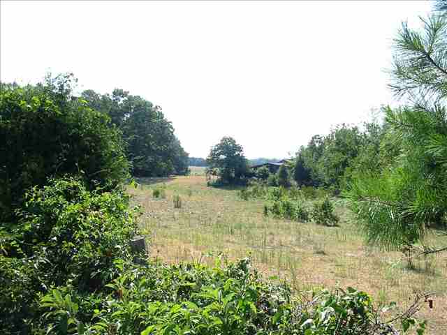 3 Warren Watt Road Iva, SC 29655 - Photo 4 of 6