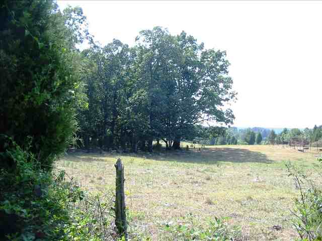 3 Warren Watt Road Iva, SC 29655 - Photo 5 of 6