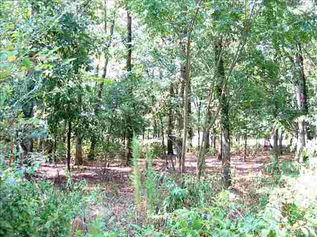 3 Warren Watt Road Iva, SC 29655 - Photo 6 of 6