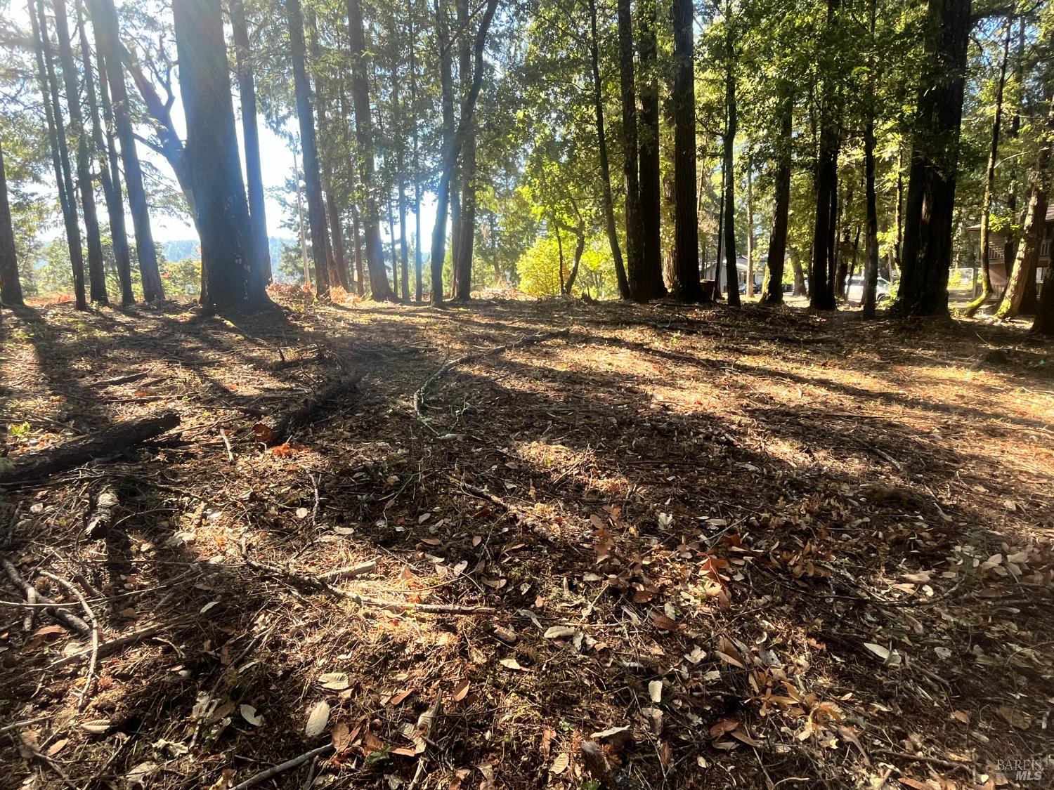 25201 Sherwood Road Willits, CA 95490 - Photo 2 of 5 a view of outdoor space with trees