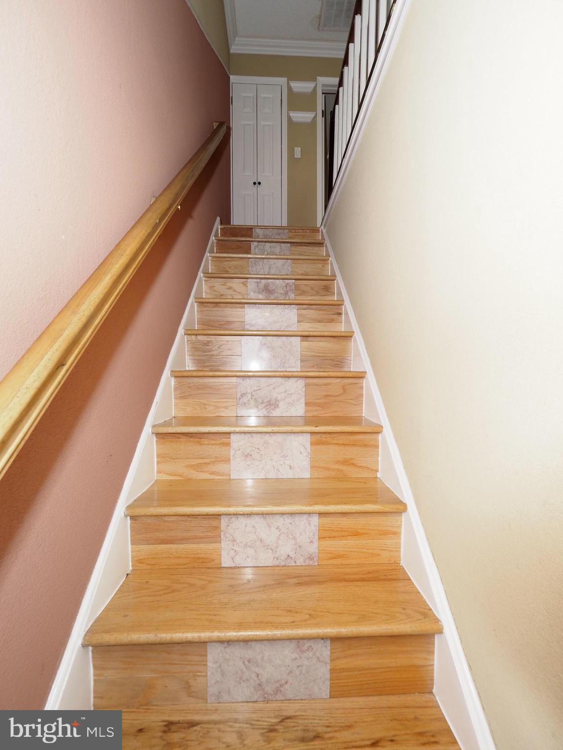 3 Fillmore Place Trenton, NJ 08648 - Photo 12 of 23