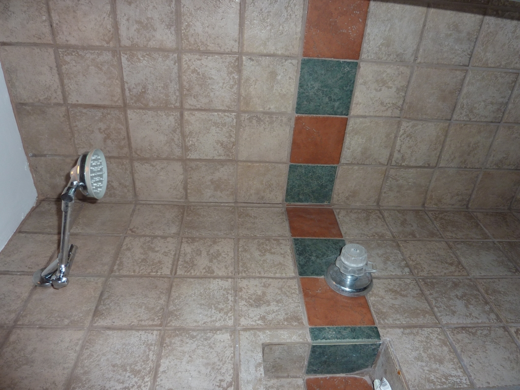 406 East Cullumber Avenue, Unit A Gilbert, AZ 85234 - Photo 14 of 17 Shower