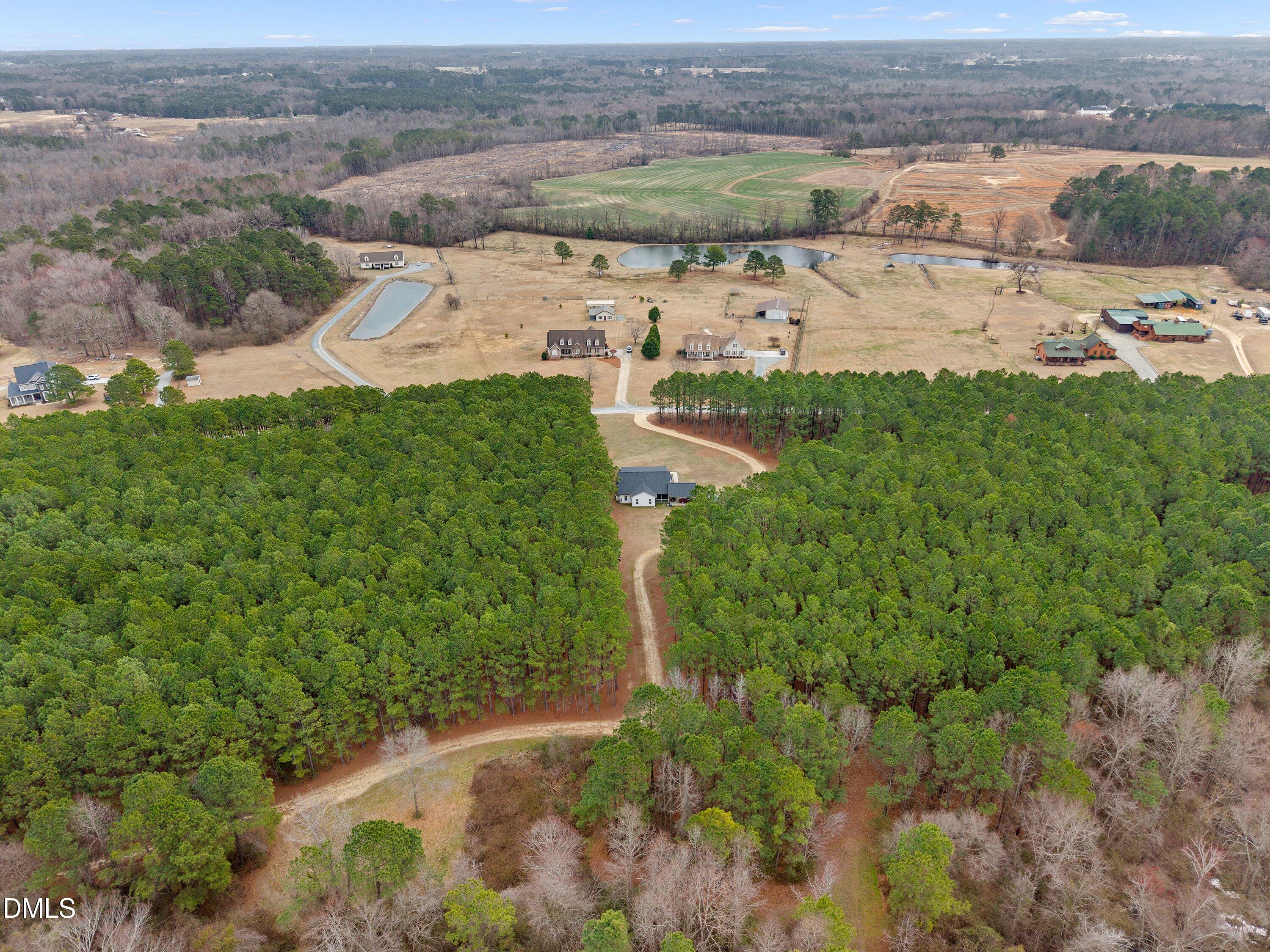 665 Mann Road Coats, NC 27521 - Photo 44 of 53 an aerial view of residential houses with outdoor space and trees