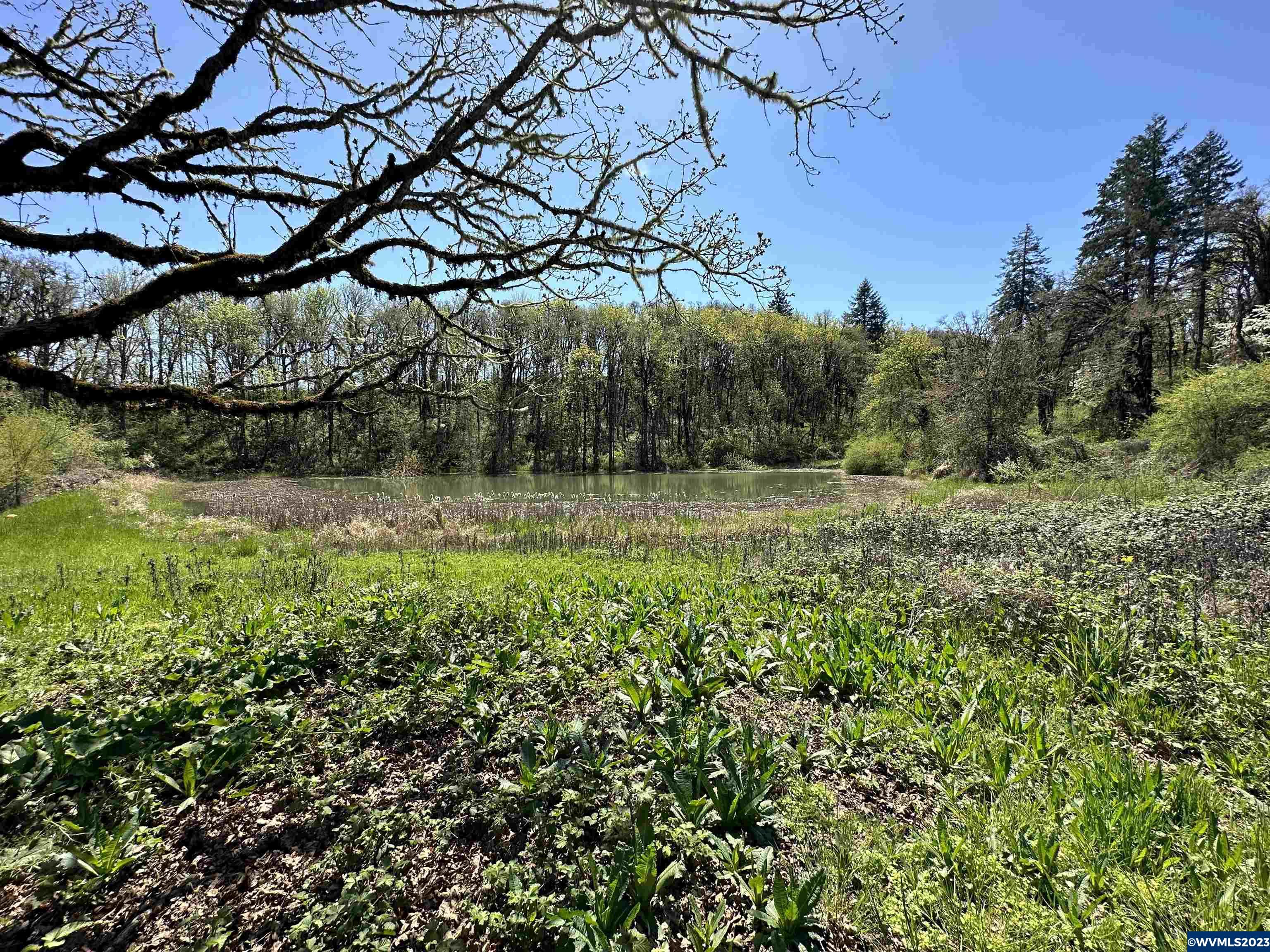 12090 Simpson Road Monmouth, OR 97361 - Photo 2 of 42
