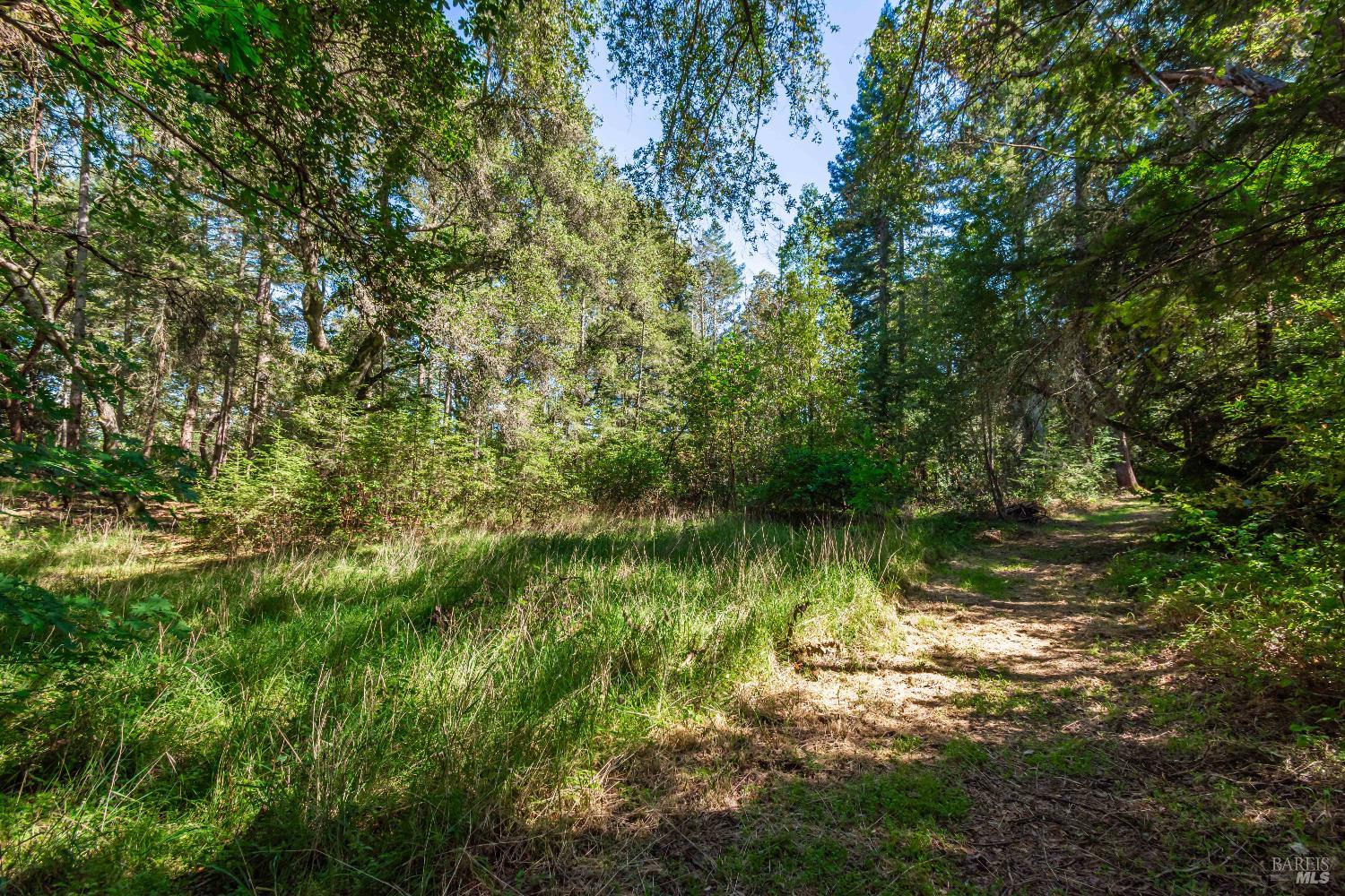 0 Dry Creek Road Napa, CA 94558 - Photo 44 of 98
