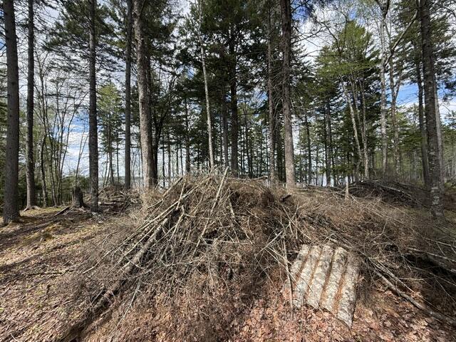 Lot12-part Indian Trail Road East Machias, ME 04630 - Photo 24 of 34 Excellent house location