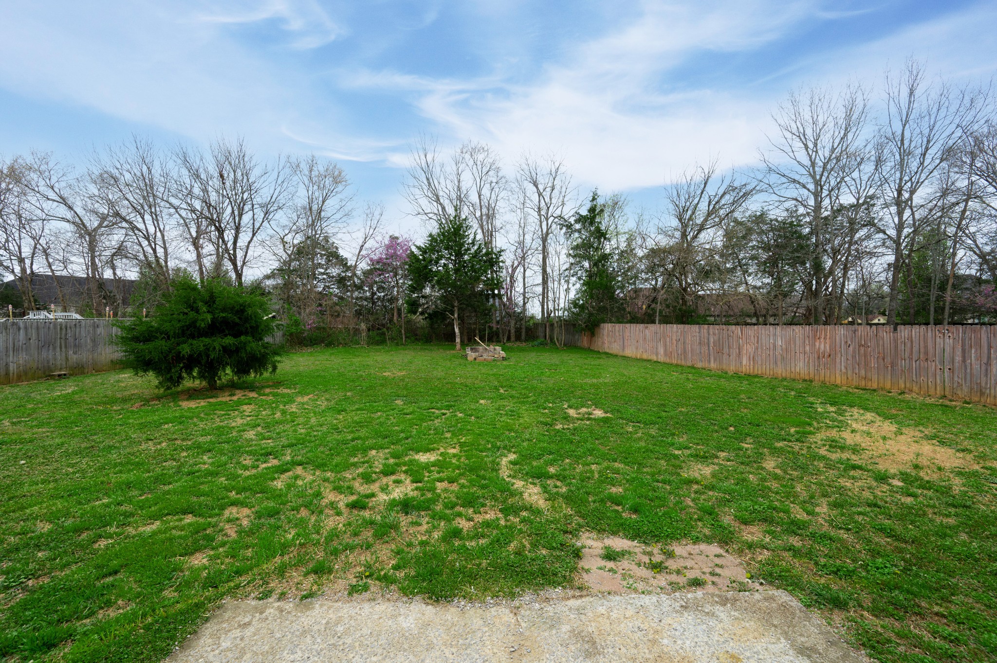 1209 Fall Parkway Murfreesboro, TN 37129 - Photo 16 of 22 a view of yard with grass and trees