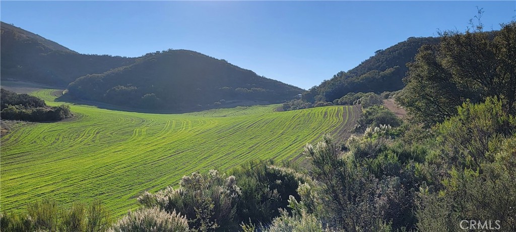 63123 Lockwood San Lucas Road Lockwood, CA 93932 - Photo 46 of 63 a view of a lush green hillside and a building