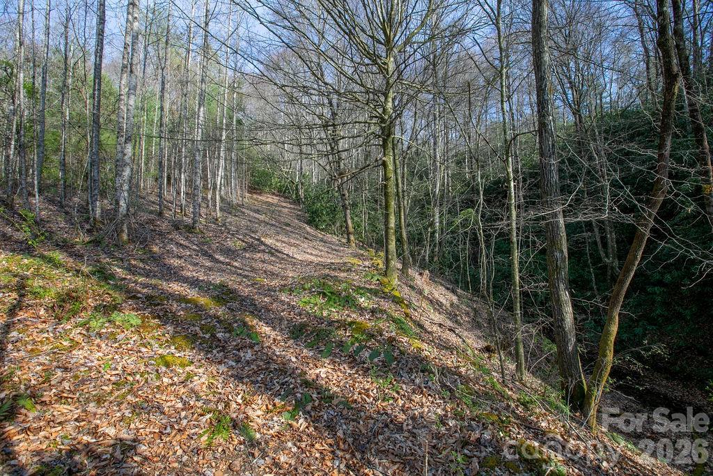 Tbd Middlefork Road Brevard, NC 28712 - Photo 16 of 18 Gallery Image 16