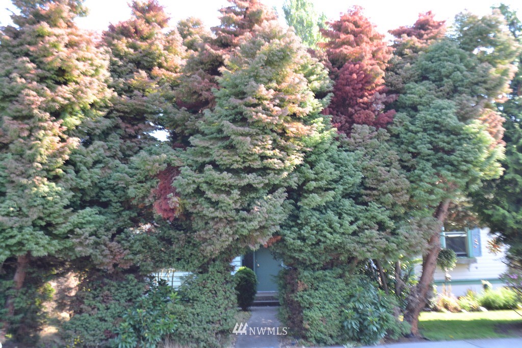 2209 Rockefeller Avenue Everett, WA 98201 - Photo 13 of 13