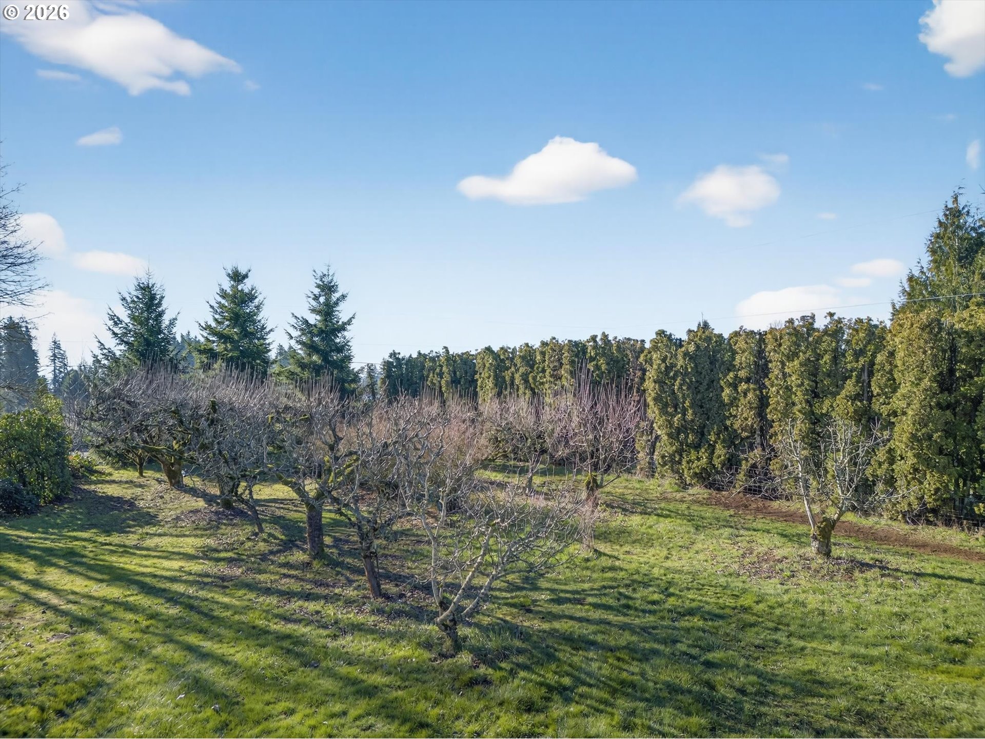 13601 South Union Hall Road Canby, OR 97013 - Photo 37 of 48 a view of a lake with a yard