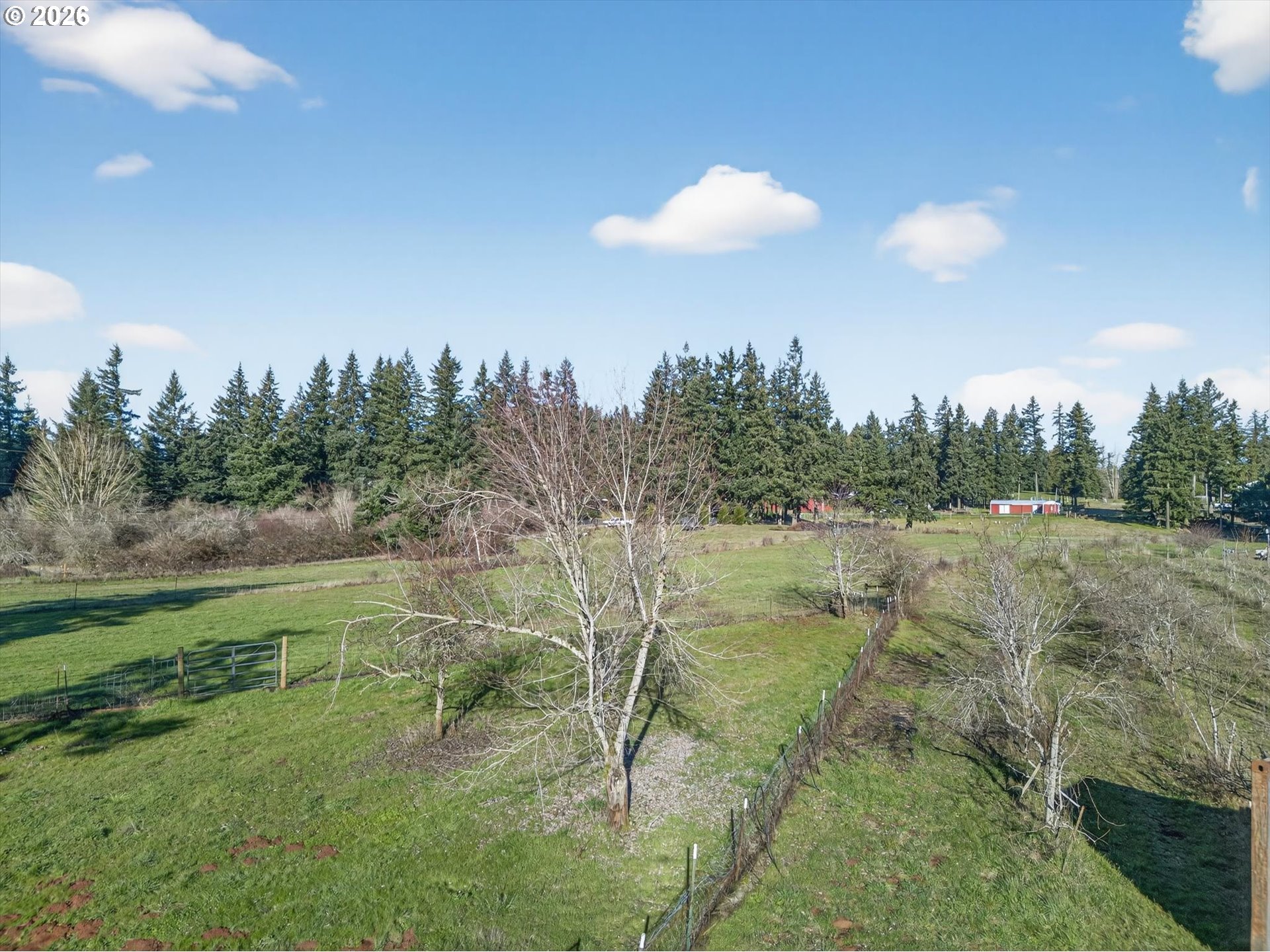 13601 South Union Hall Road Canby, OR 97013 - Photo 46 of 48 a view of a lush green space