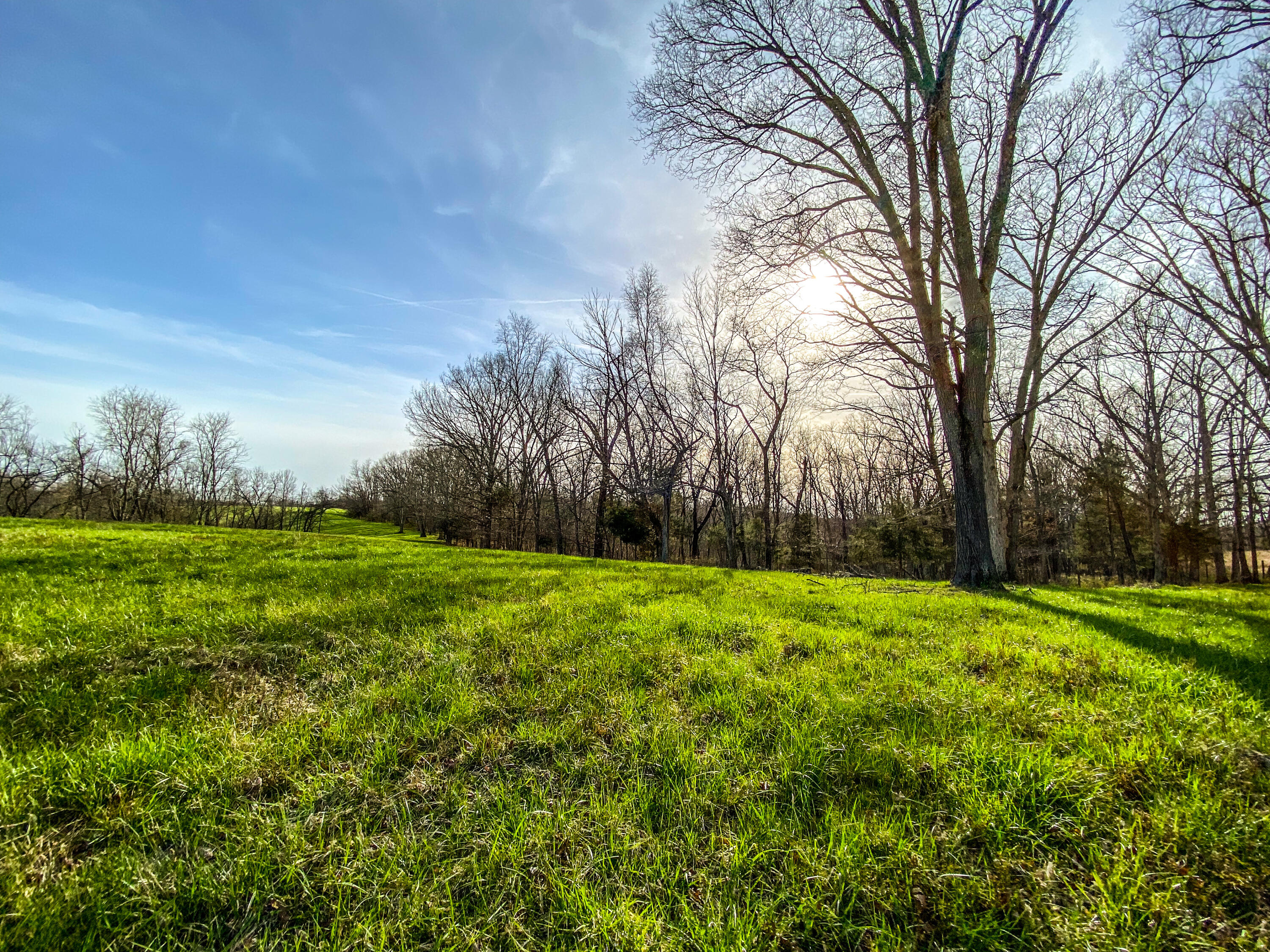 1366 Matthews Road Cynthiana, KY 41031 - Photo 12 of 20 Photo Apr 10, 6 05 50 PM