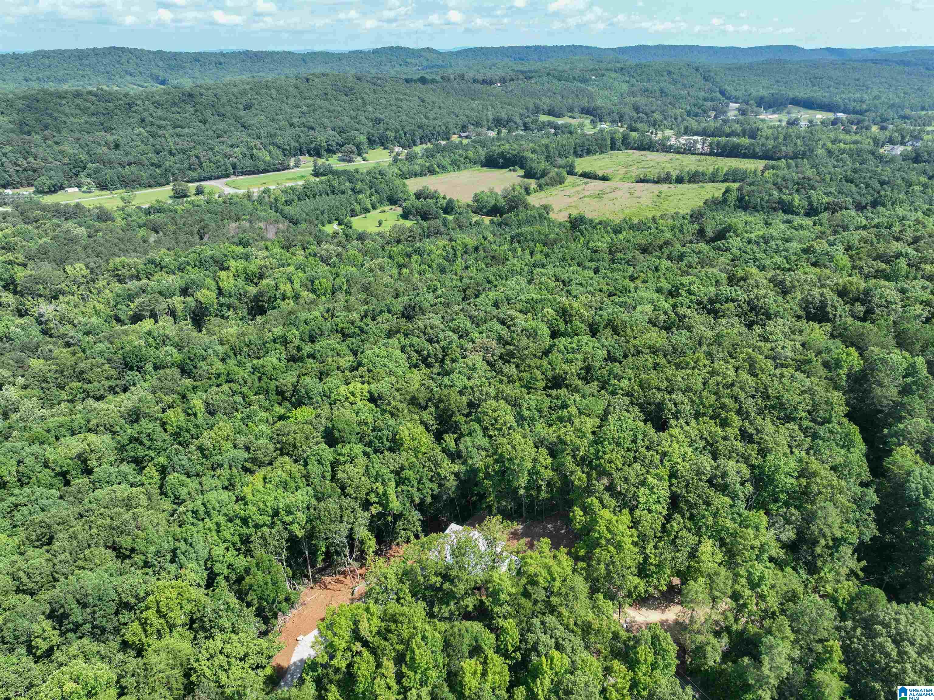 689 Beaver Creek Road Remlap, AL 35133 - Photo 54 of 64