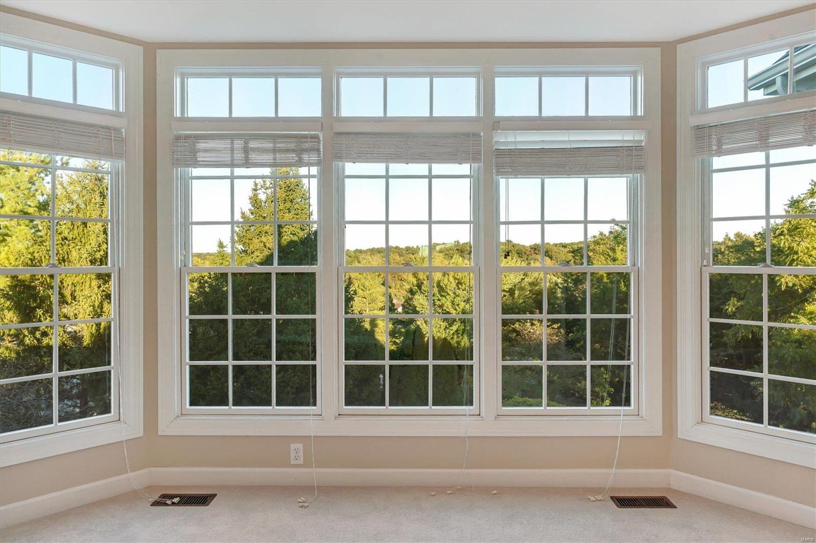 17975 Bonhomme Ridge Court Chesterfield, MO 63005 - Photo 42 of 69