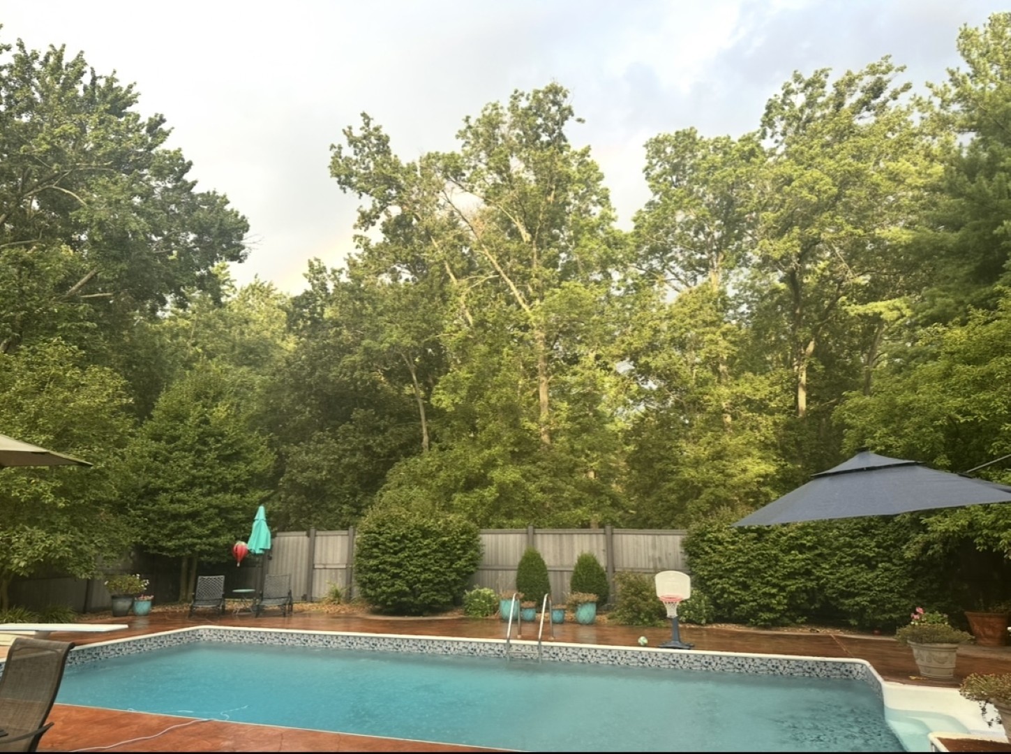 833 North 27th Street Mount Vernon, IL 62864 - Photo 11 of 65