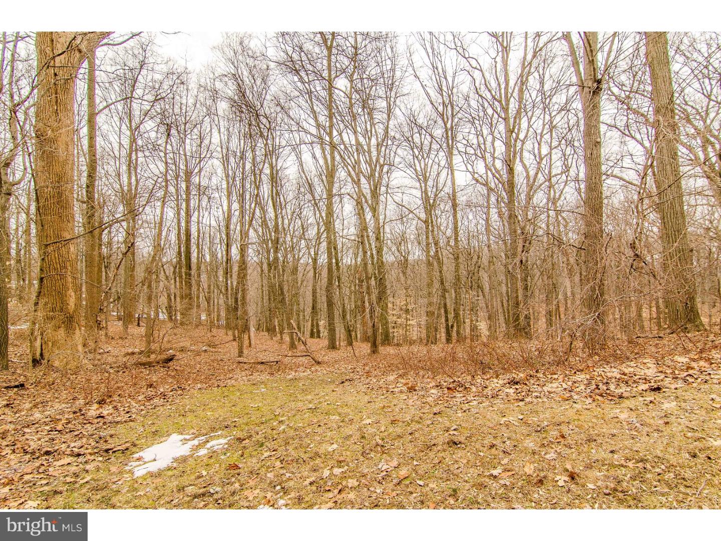 853 Brandywine Road Downingtown, PA 19335 - Photo 24 of 25 View in Back