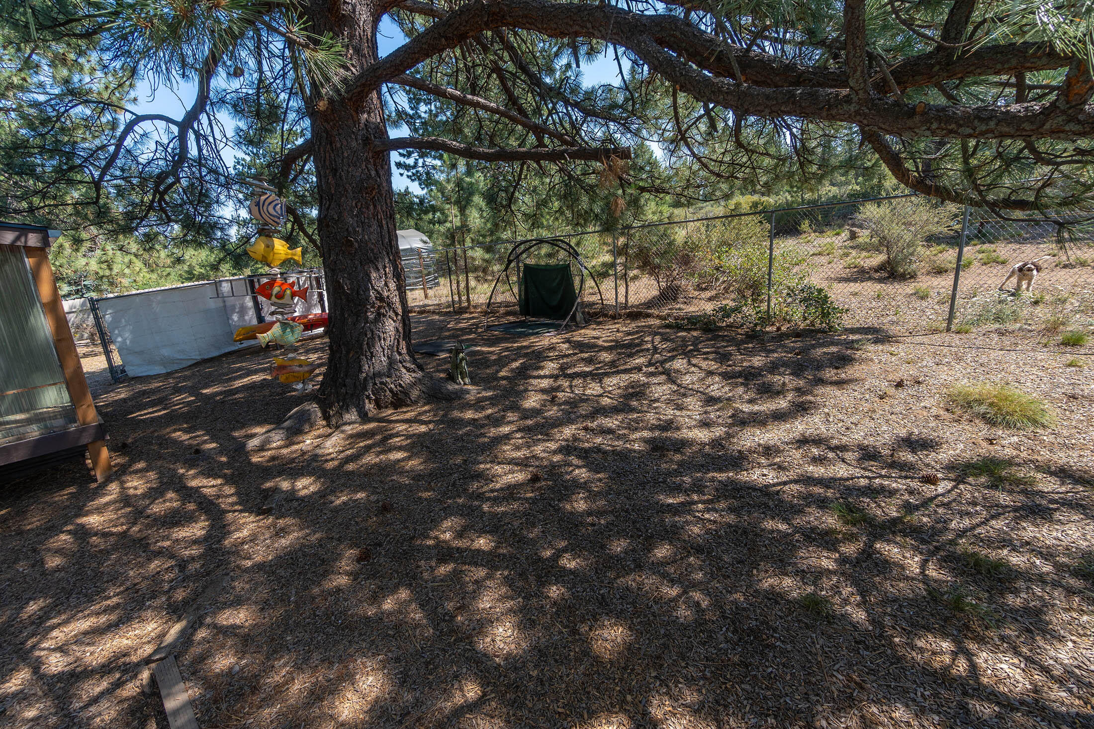 59860 Cheyenne Road Bend, OR 97702 - Photo 27 of 39 50