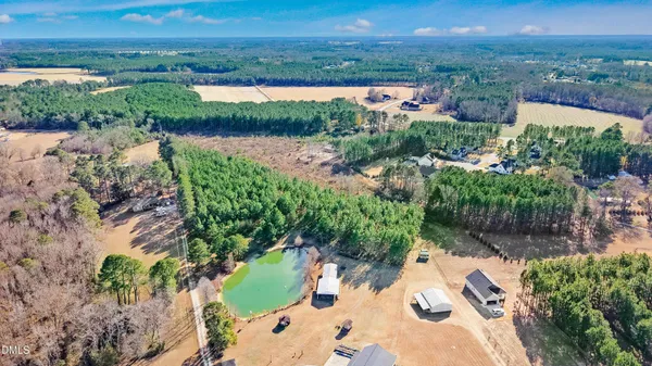 a view of a garden with a lot of trees