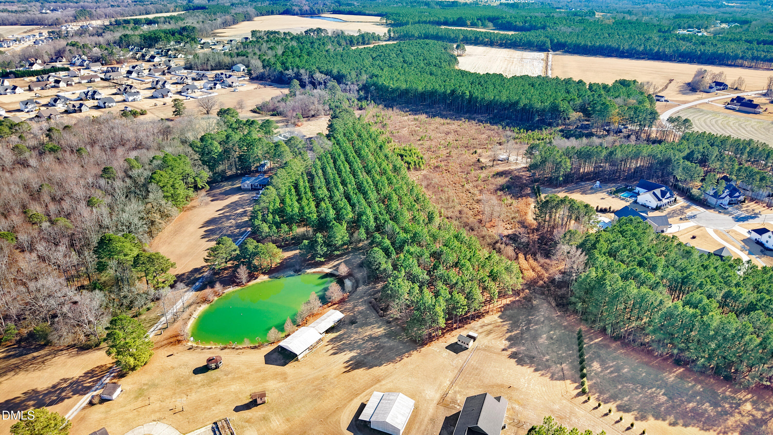 0 Freedom Road Smithfield, NC 27577 - Photo 12 of 12 a view of a garden with a lot of trees