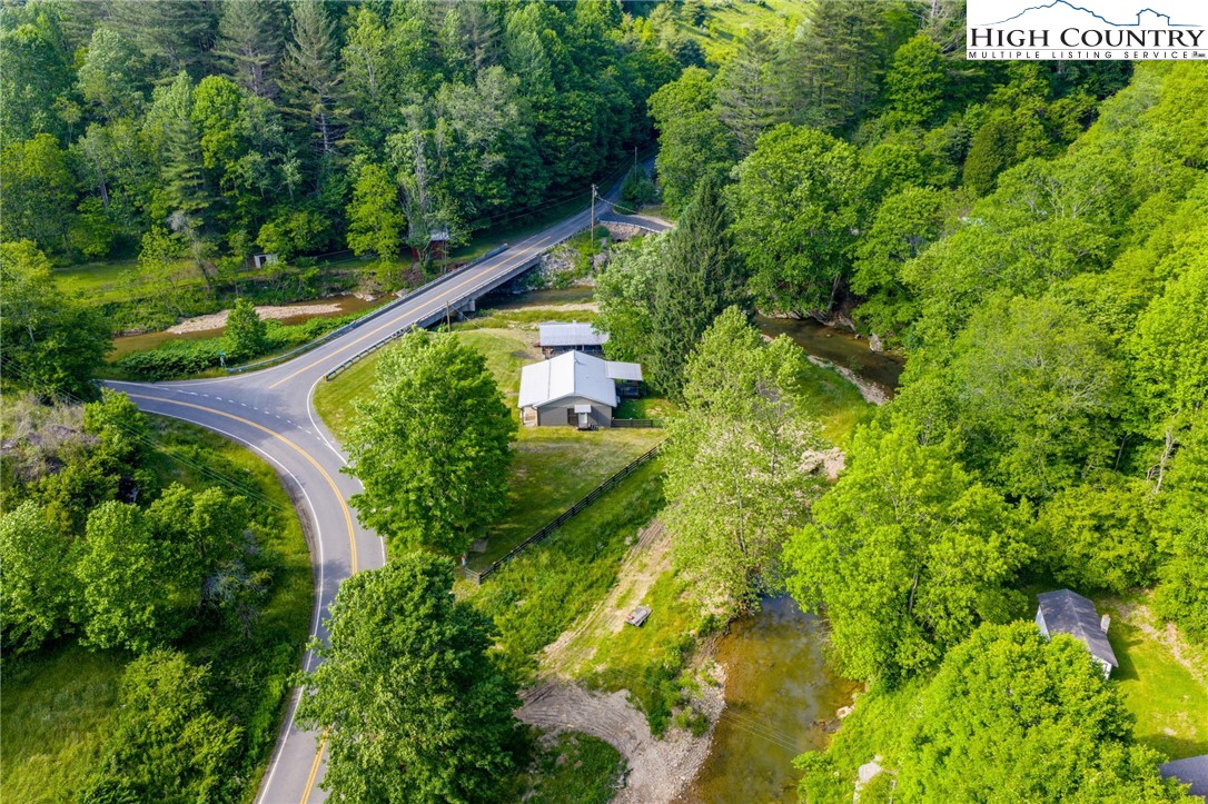 1369 Anderson Hill Road Lansing, NC 28643 - Photo 47 of 49 a view of a yard with plants and large trees