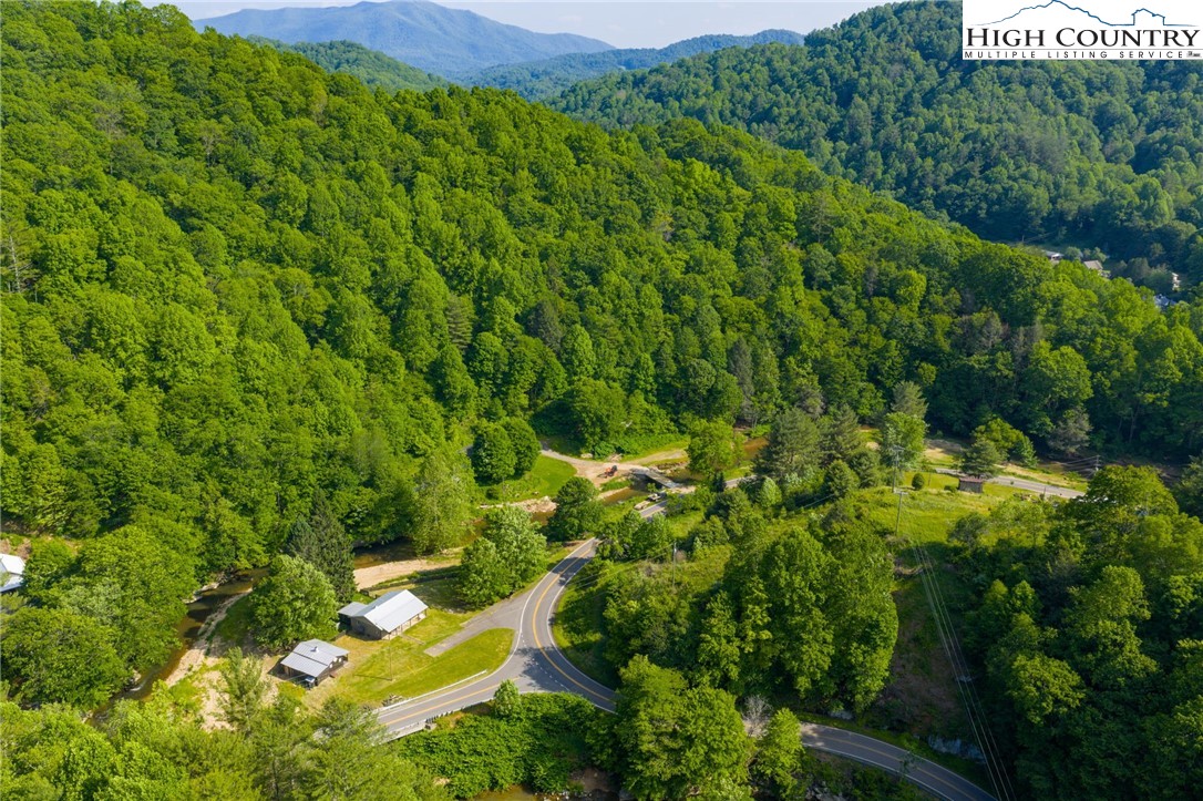 1369 Anderson Hill Road Lansing, NC 28643 - Photo 10 of 49 a view of a yard with an trees