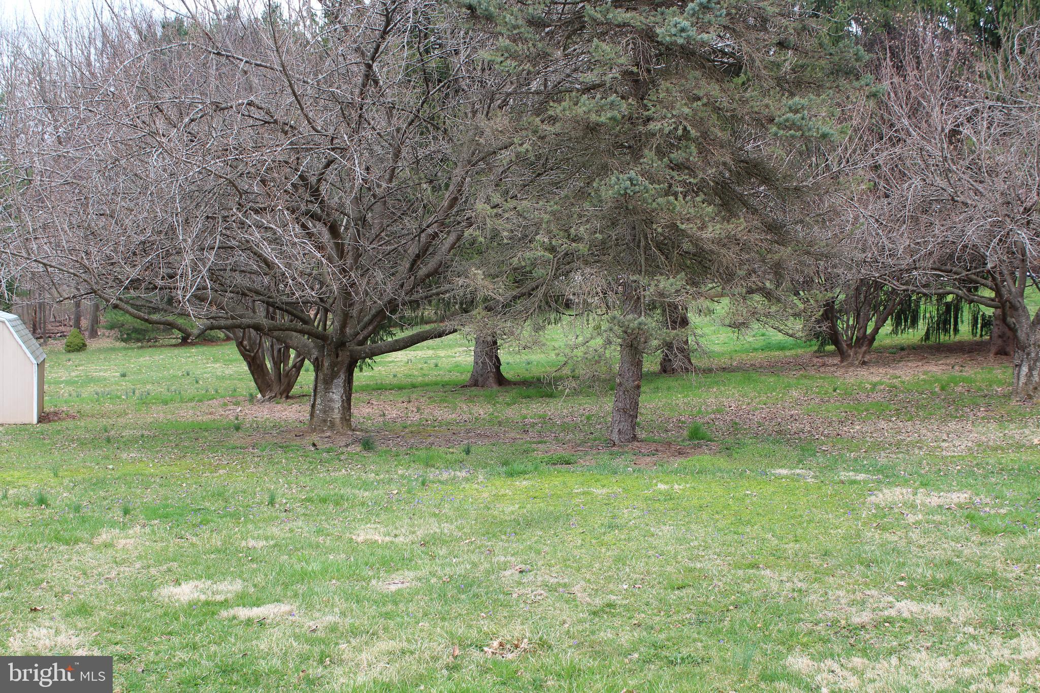 406 Lees Mill Road Hampstead, MD 21074 - Photo 12 of 26 Beautiful backyard